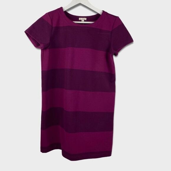 Gap Box Pleat Wide Stripe Pink Dress size Medium NEW - Picture 1 of 6